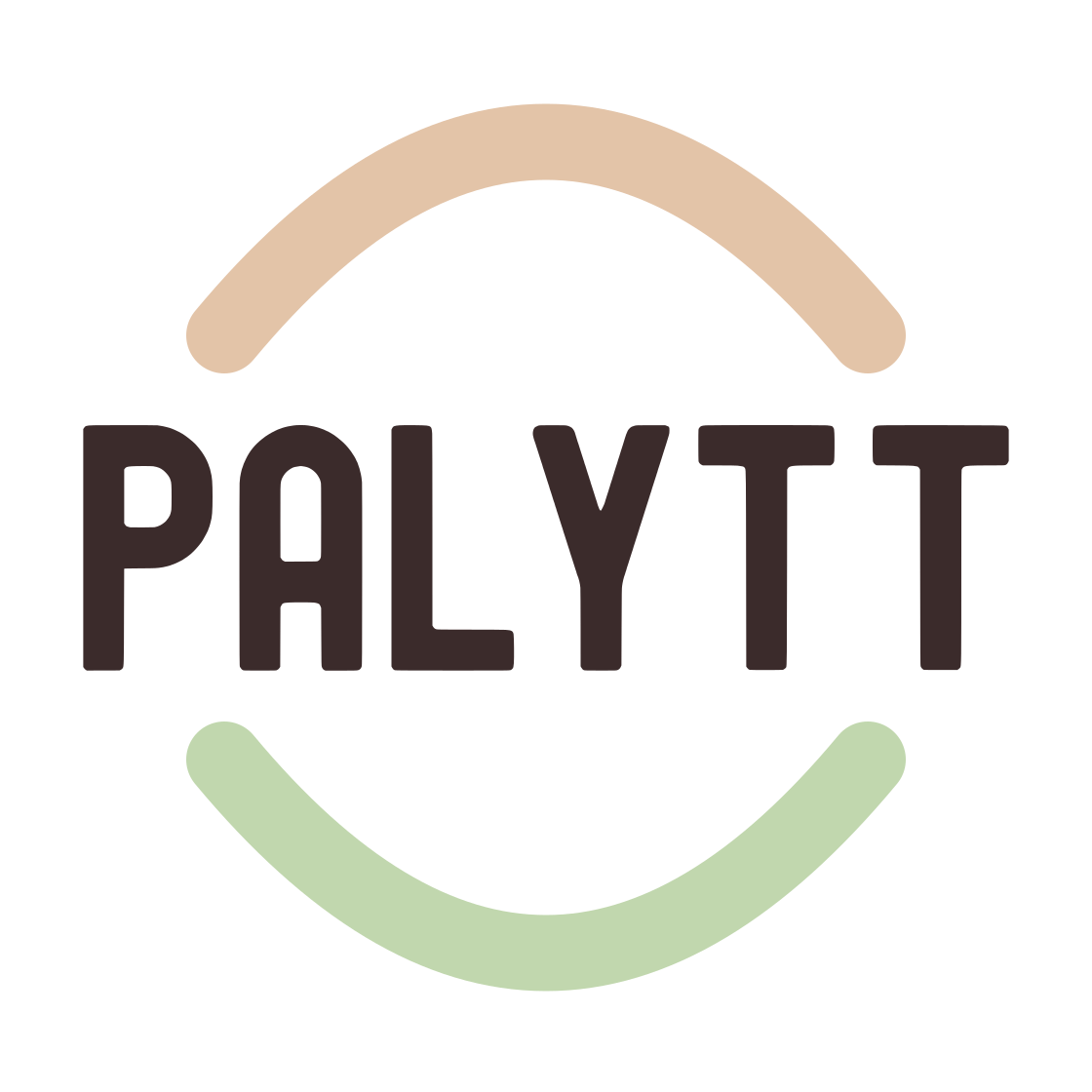 Palytt wordmark on a transparent background